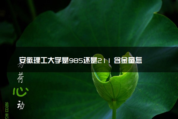 安徽理工大学是985还是211 含金量怎么样