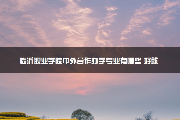 临沂职业学院中外合作办学专业有哪些 好就业吗