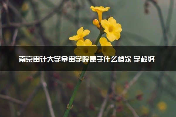 南京审计大学金审学院属于什么档次 学校好不好