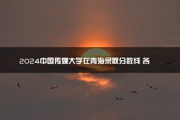 2024中国传媒大学在青海录取分数线 各专业分数及位次