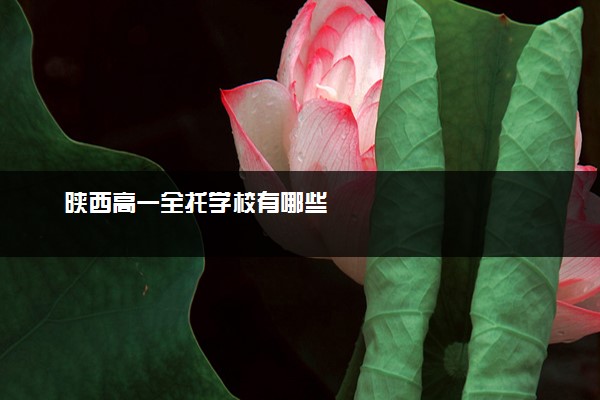 陕西高一全托学校有哪些