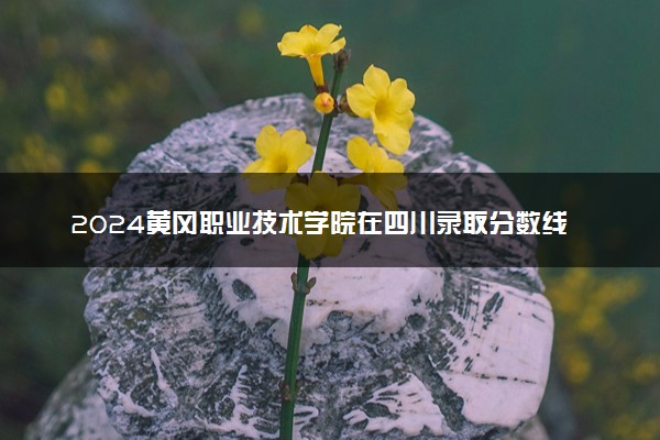 2024黄冈职业技术学院在四川录取分数线 各专业分数及位次