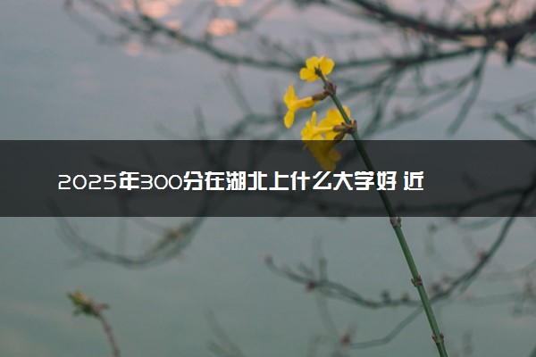 2025年300分在湖北上什么大学好 近三年录取分数线是多少