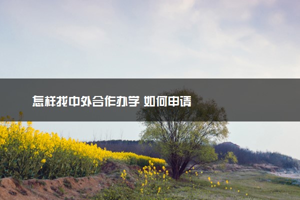 怎样找中外合作办学 如何申请