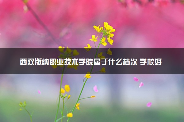 西双版纳职业技术学院属于什么档次 学校好不好