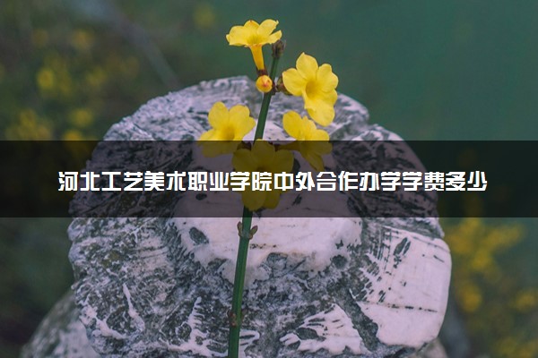 河北工艺美术职业学院中外合作办学学费多少钱 各专业收费标准
