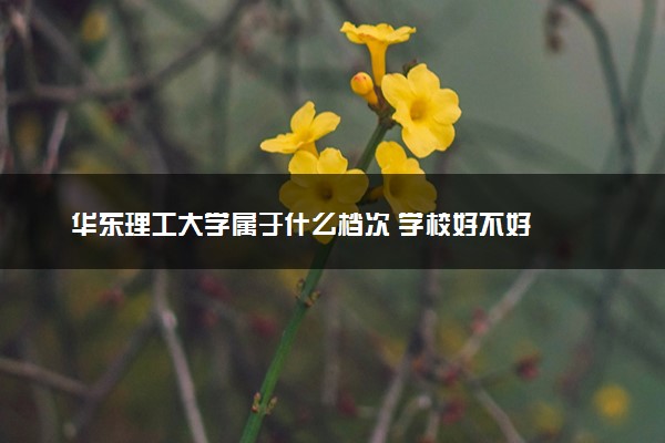 华东理工大学属于什么档次 学校好不好