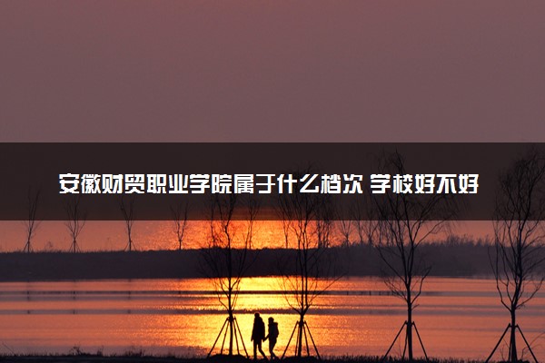 安徽财贸职业学院属于什么档次 学校好不好