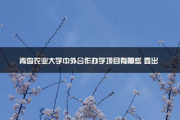 青岛农业大学中外合作办学项目有哪些 要出国吗