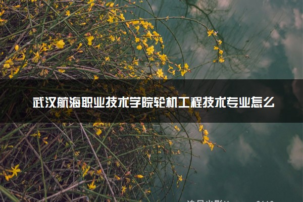 武汉航海职业技术学院轮机工程技术专业怎么样 录取分数线多少