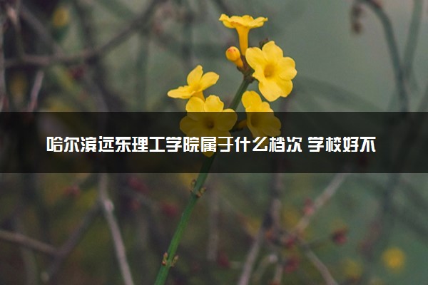哈尔滨远东理工学院属于什么档次 学校好不好
