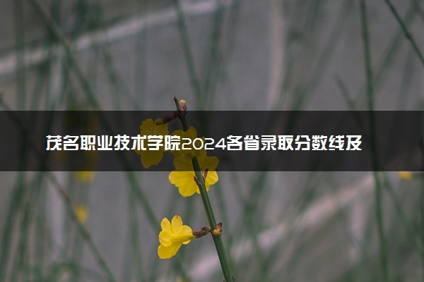 茂名职业技术学院2024各省录取分数线及最低位次是多少