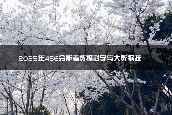 2025年456分能考数据科学与大数据技术专业吗 456分数据科学与大数据技术专业大学推荐
