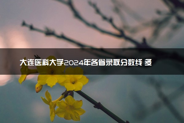 大连医科大学2024年各省录取分数线 多少分能考上