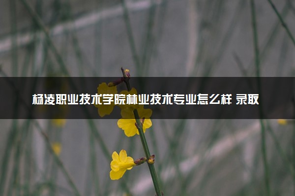 杨凌职业技术学院林业技术专业怎么样 录取分数线多少