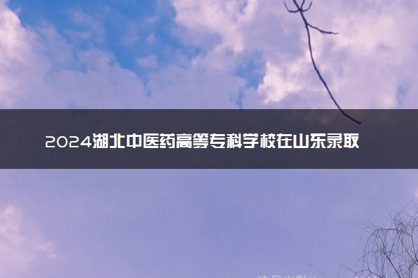 2024湖北中医药高等专科学校在山东录取分数线 各专业分数及位次