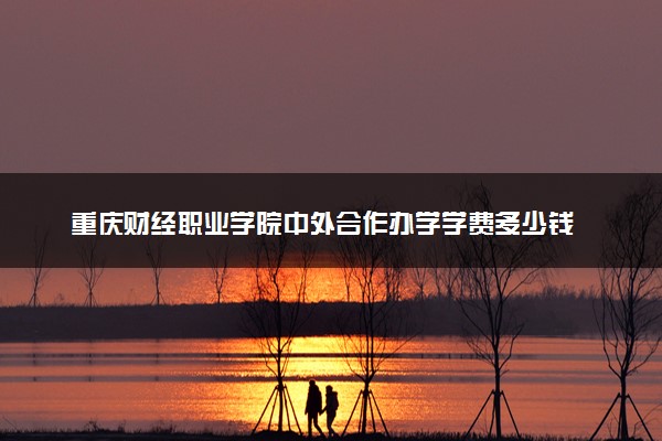 重庆财经职业学院中外合作办学学费多少钱 各专业收费标准
