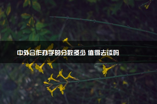 中外合作办学的分数多少 值得去读吗