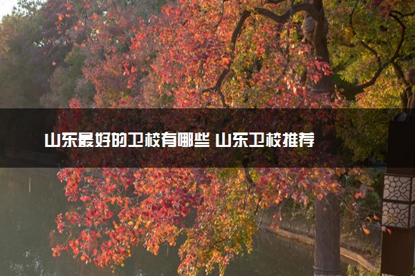 山东最好的卫校有哪些 山东卫校推荐