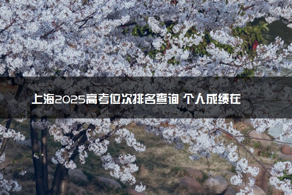 上海2025高考位次排名查询 个人成绩在全省排名怎么查