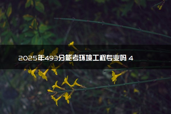 2025年493分能考环境工程专业吗 493分环境工程专业大学推荐