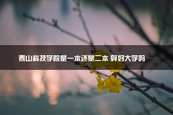 泰山科技学院是一本还是二本 算好大学吗