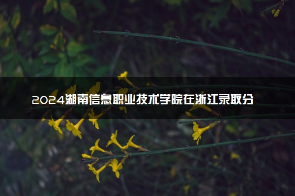 2024湖南信息职业技术学院在浙江录取分数线 各专业分数及位次