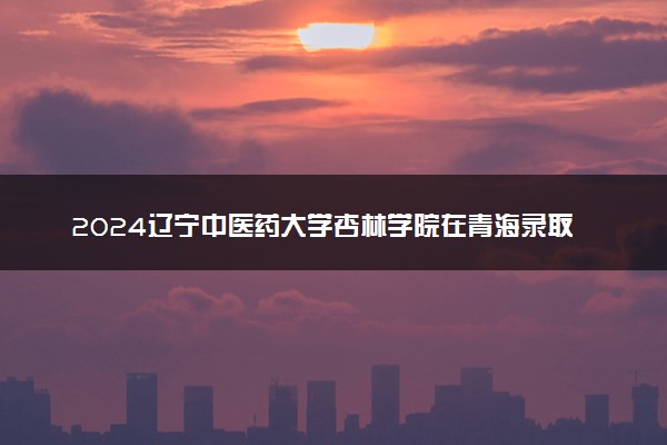 2024辽宁中医药大学杏林学院在青海录取分数线 各专业分数及位次