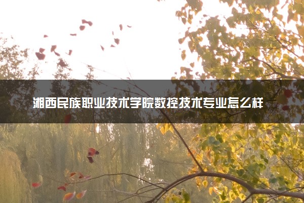 湘西民族职业技术学院数控技术专业怎么样 录取分数线多少