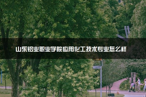 山东铝业职业学院应用化工技术专业怎么样 录取分数线多少