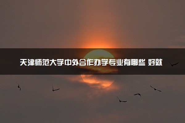 天津师范大学中外合作办学专业有哪些 好就业吗