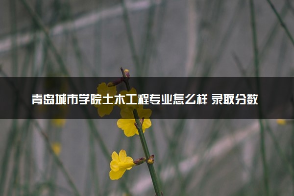 青岛城市学院土木工程专业怎么样 录取分数线多少