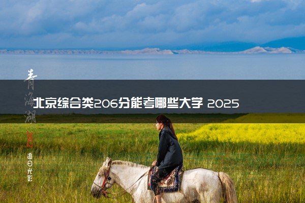 北京综合类206分能考哪些大学 2025考生稳上的大学名单