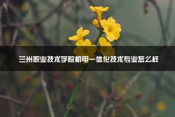 兰州职业技术学院机电一体化技术专业怎么样 录取分数线多少