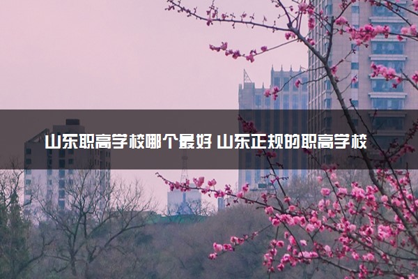 山东职高学校哪个最好 山东正规的职高学校