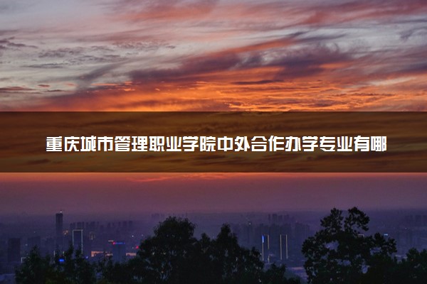 重庆城市管理职业学院中外合作办学专业有哪些 好就业吗