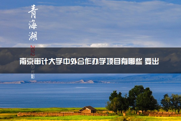 南京审计大学中外合作办学项目有哪些 要出国吗