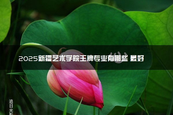 2025新疆艺术学院王牌专业有哪些 最好的专业是什么