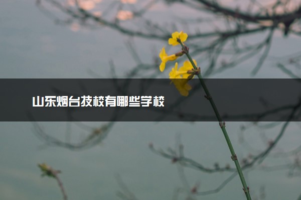 山东烟台技校有哪些学校