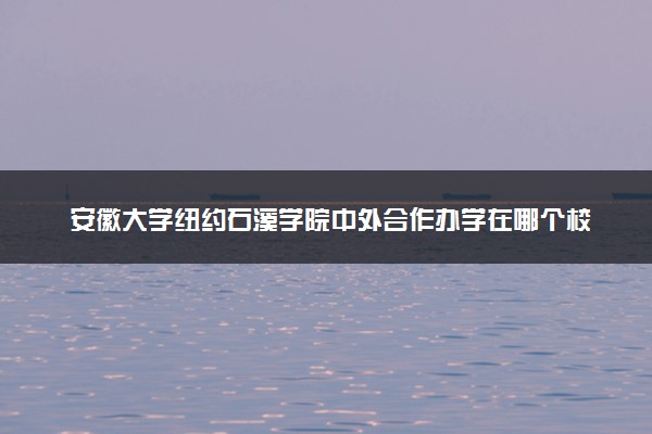 安徽大学纽约石溪学院中外合作办学在哪个校区