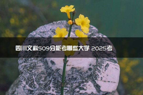 四川文科509分能考哪些大学 2025考生稳上的大学名单