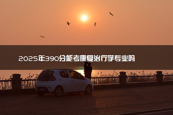 2025年390分能考康复治疗学专业吗 390分康复治疗学专业大学推荐