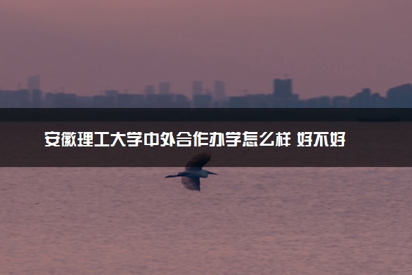 安徽理工大学中外合作办学怎么样 好不好