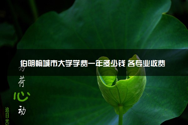 伯明翰城市大学学费一年多少钱 各专业收费标准