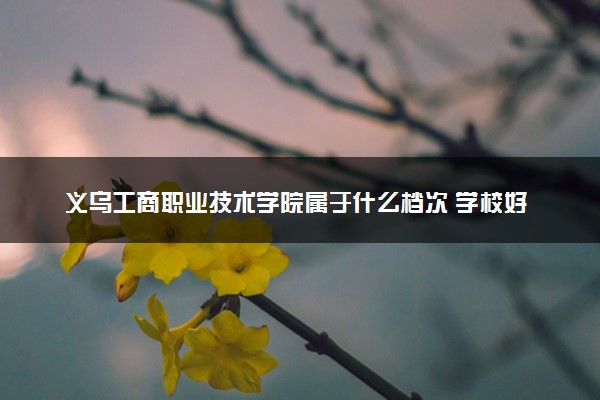 义乌工商职业技术学院属于什么档次 学校好不好