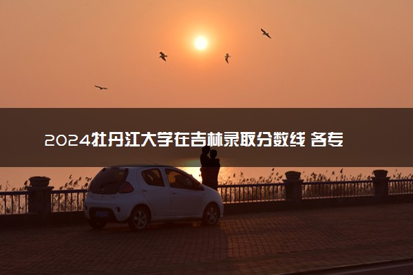 2024牡丹江大学在吉林录取分数线 各专业分数及位次