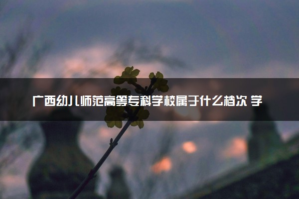 广西幼儿师范高等专科学校属于什么档次 学校好不好