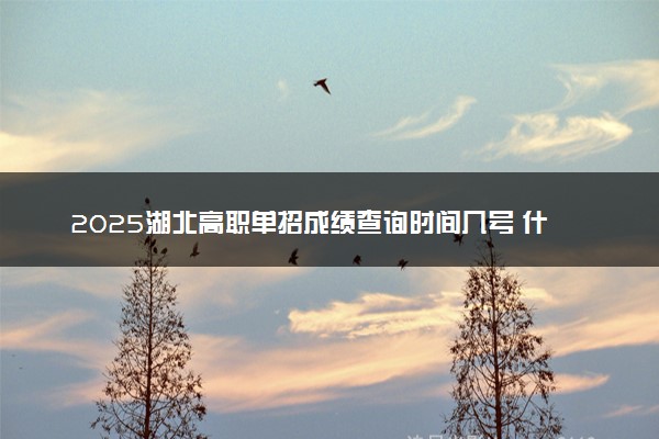 2025湖北高职单招成绩查询时间几号 什么时候公布分数