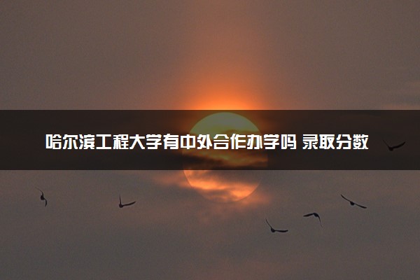 哈尔滨工程大学有中外合作办学吗 录取分数线是多少