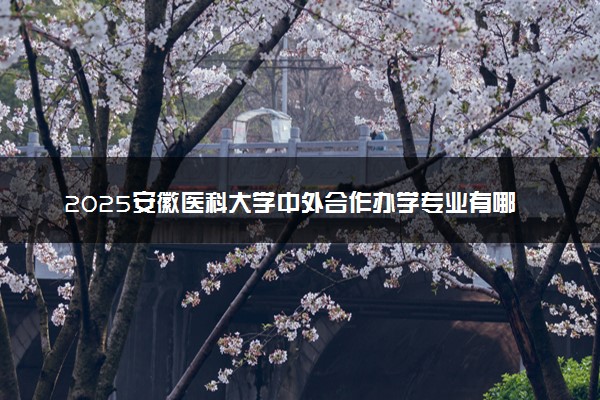 2025安徽医科大学中外合作办学专业有哪些 代码是什么